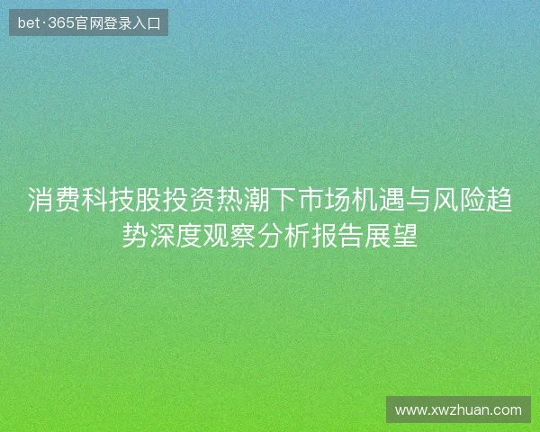 消费科技股投资热潮下市场机遇与风险趋势深度观察分析报告展望